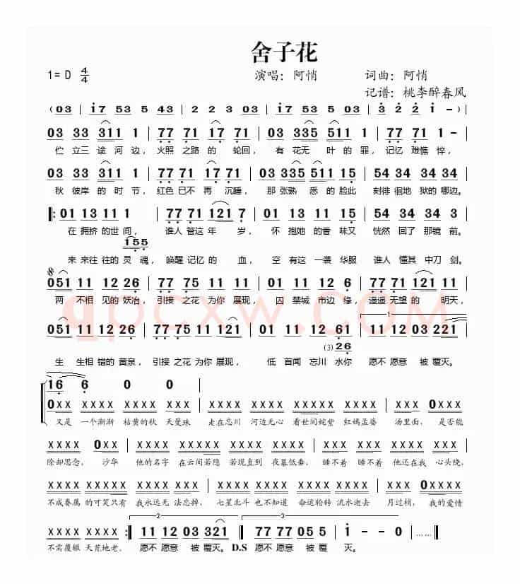舍子花