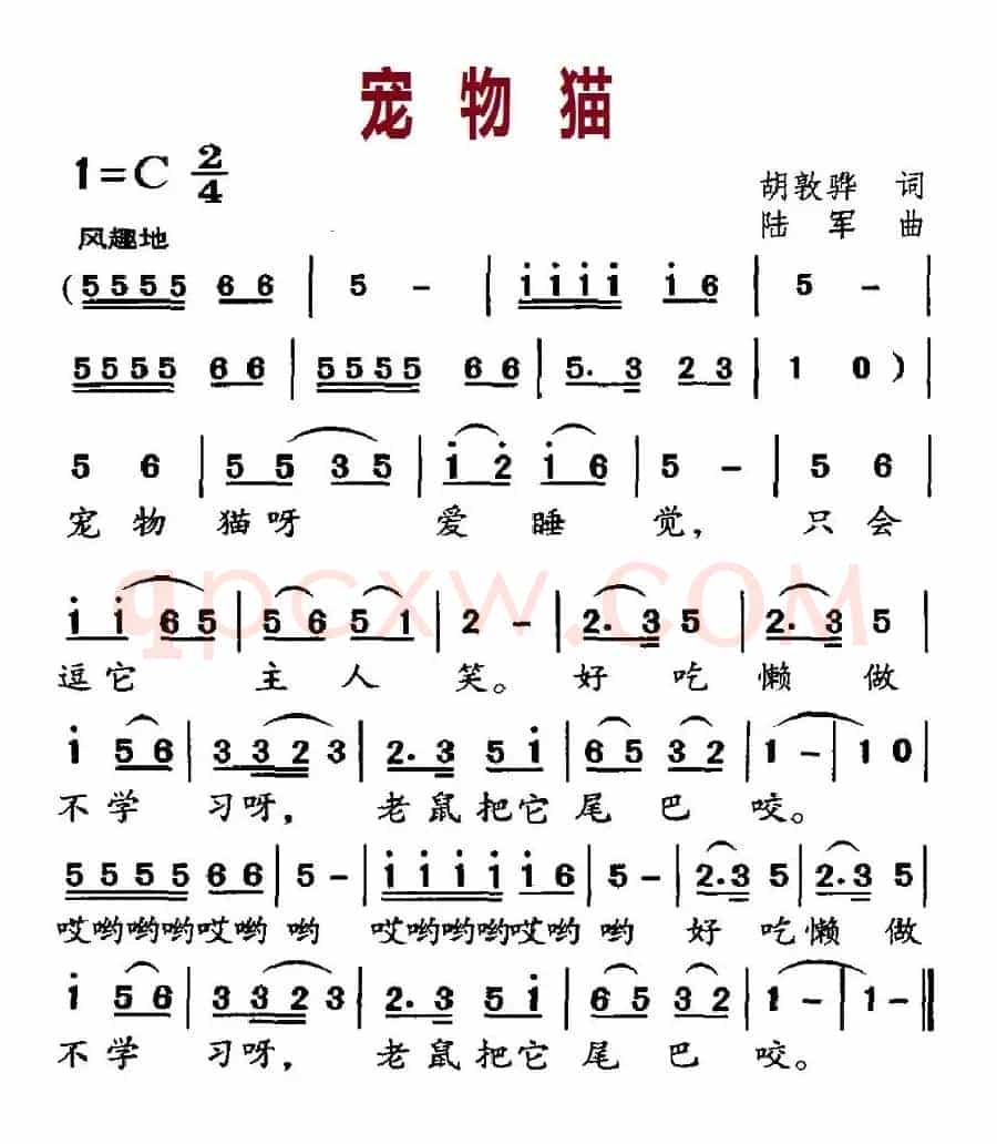 宠物猫