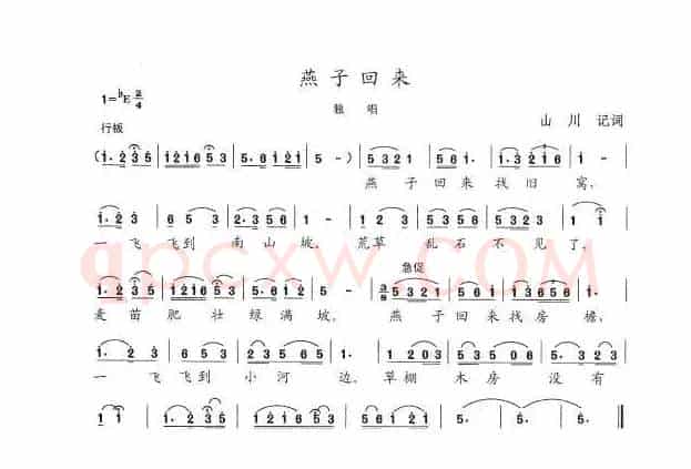 燕子回来