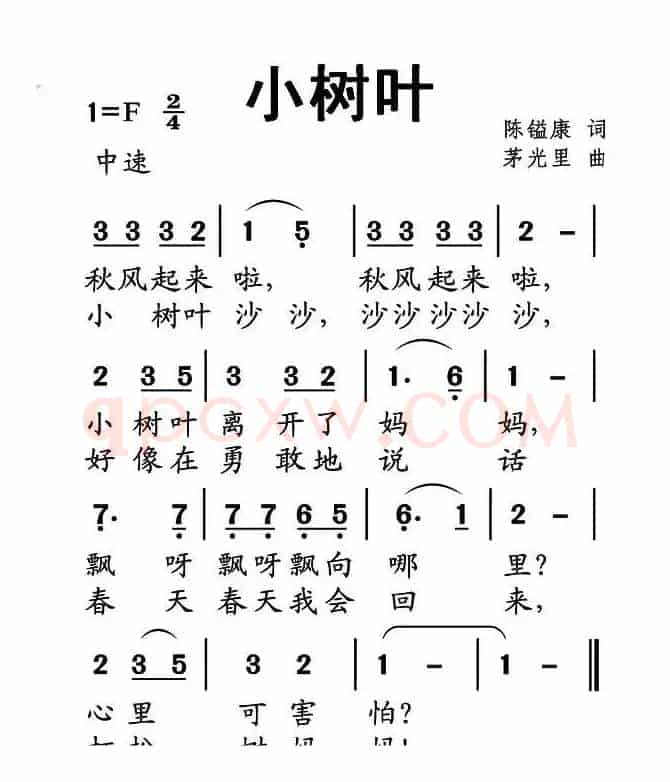 小树叶
