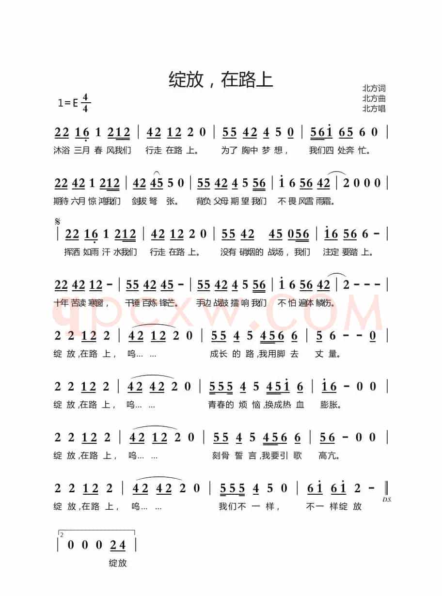 绽放，在路上