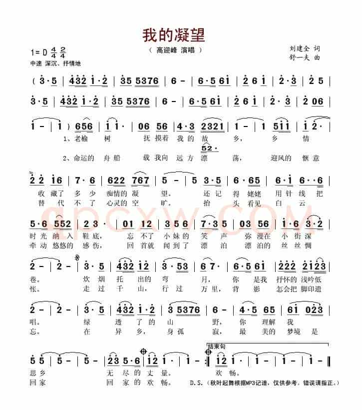 我的凝望