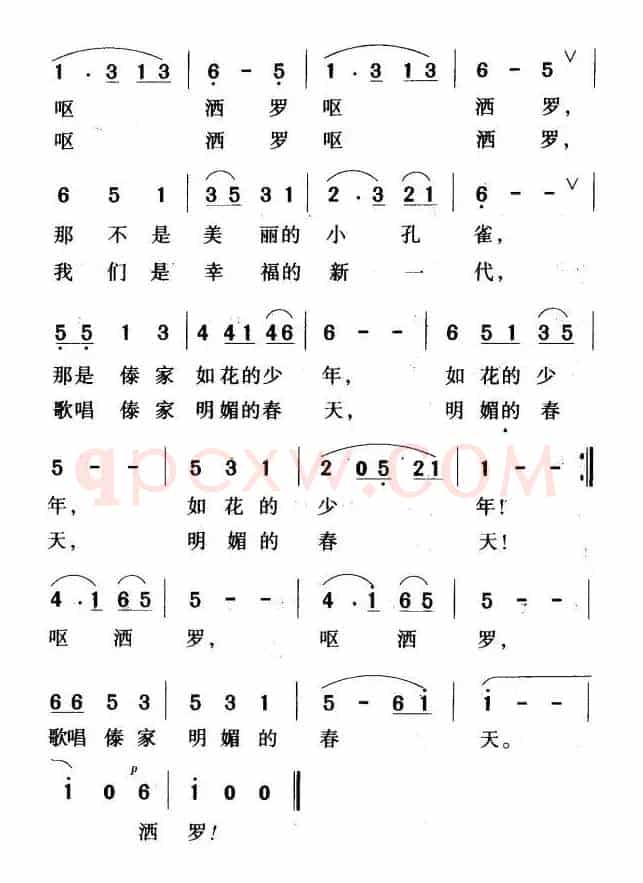 瑞丽江边的小孔雀