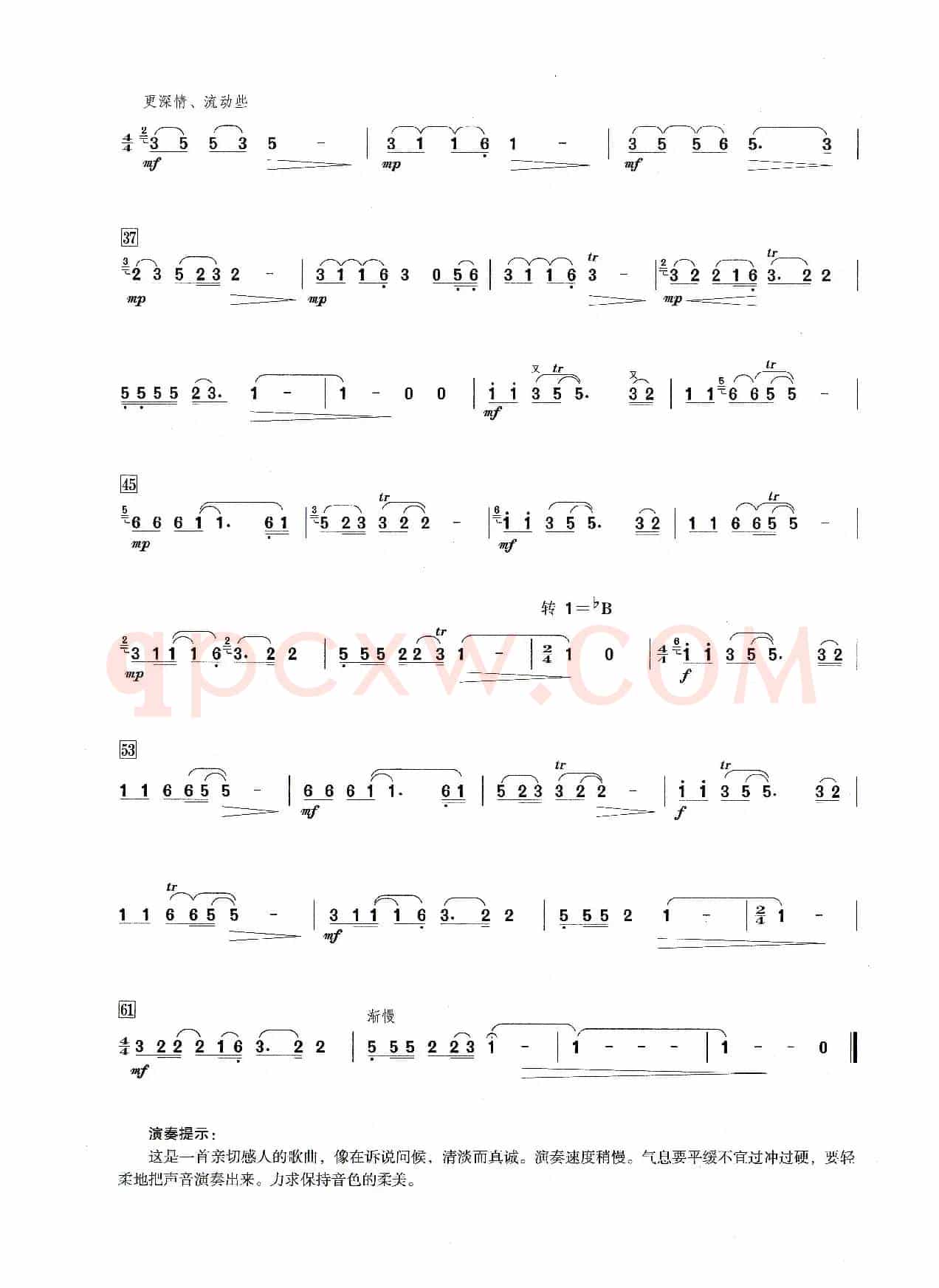祝你平安（笛子演奏提示版）
