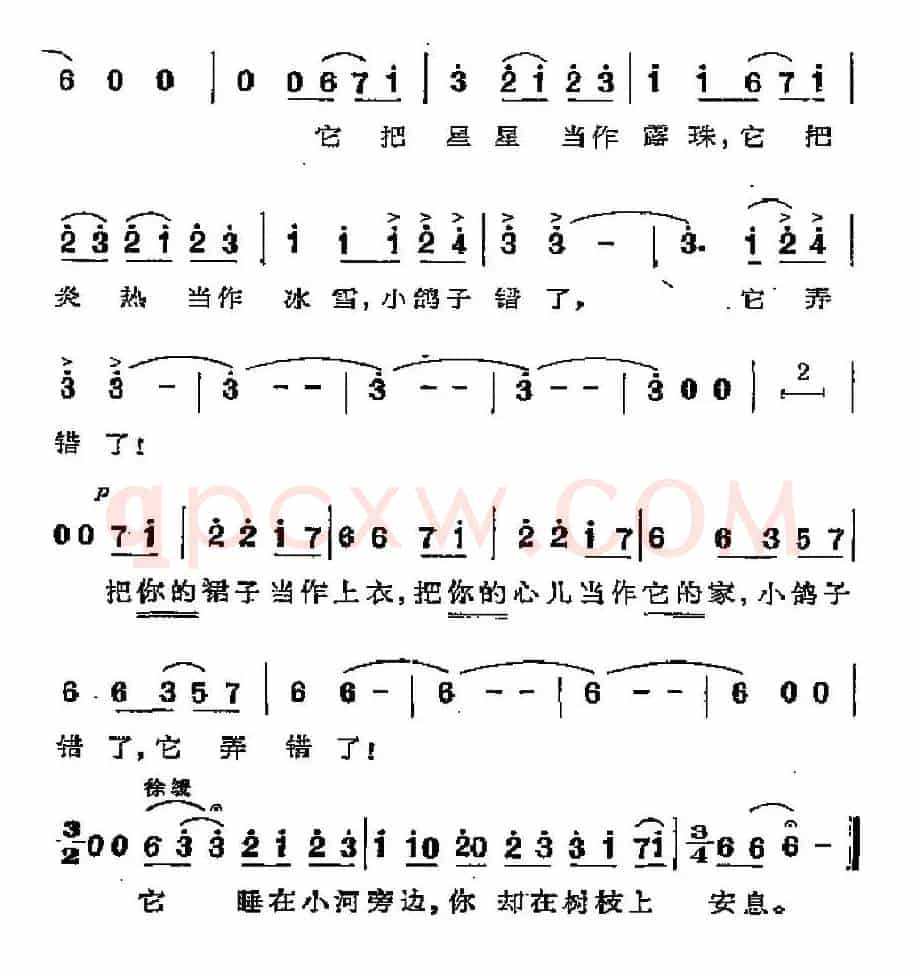 [阿根廷]小鸽子错了