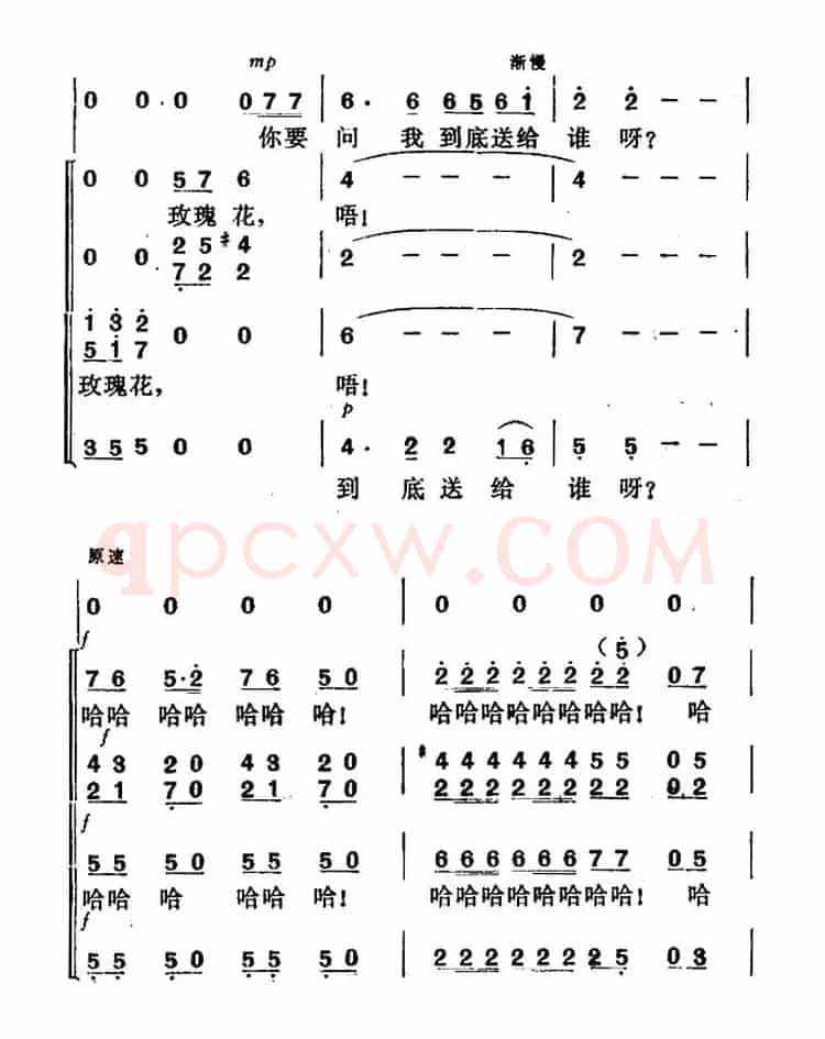 我的心上开了一朵玫瑰花