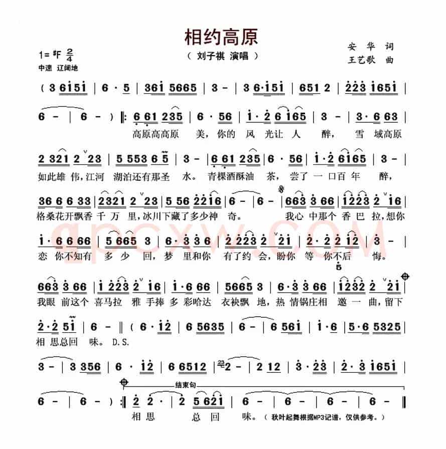 相约高原