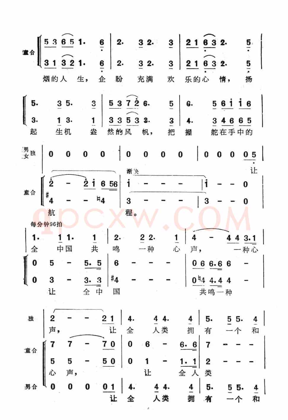 鸽子情