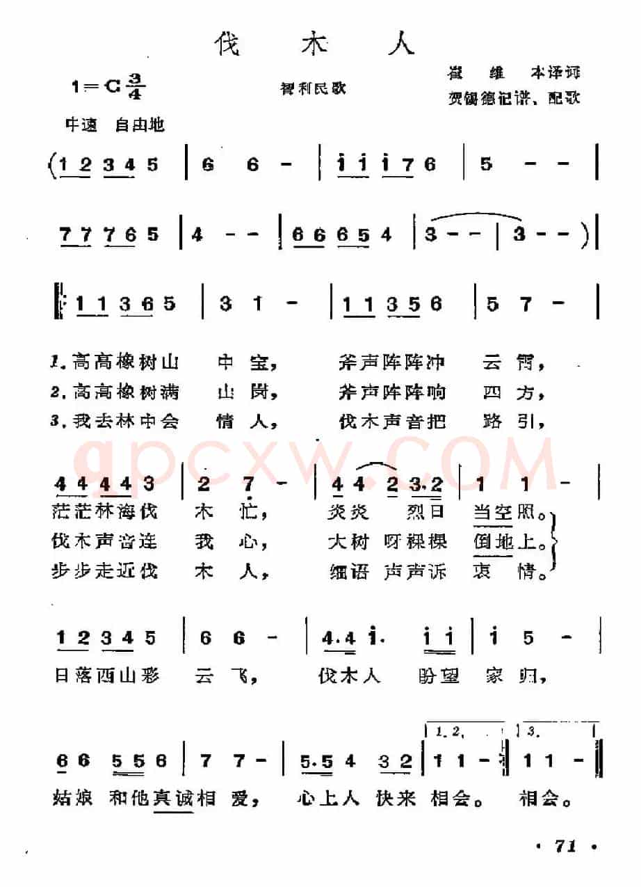[智利]伐木人