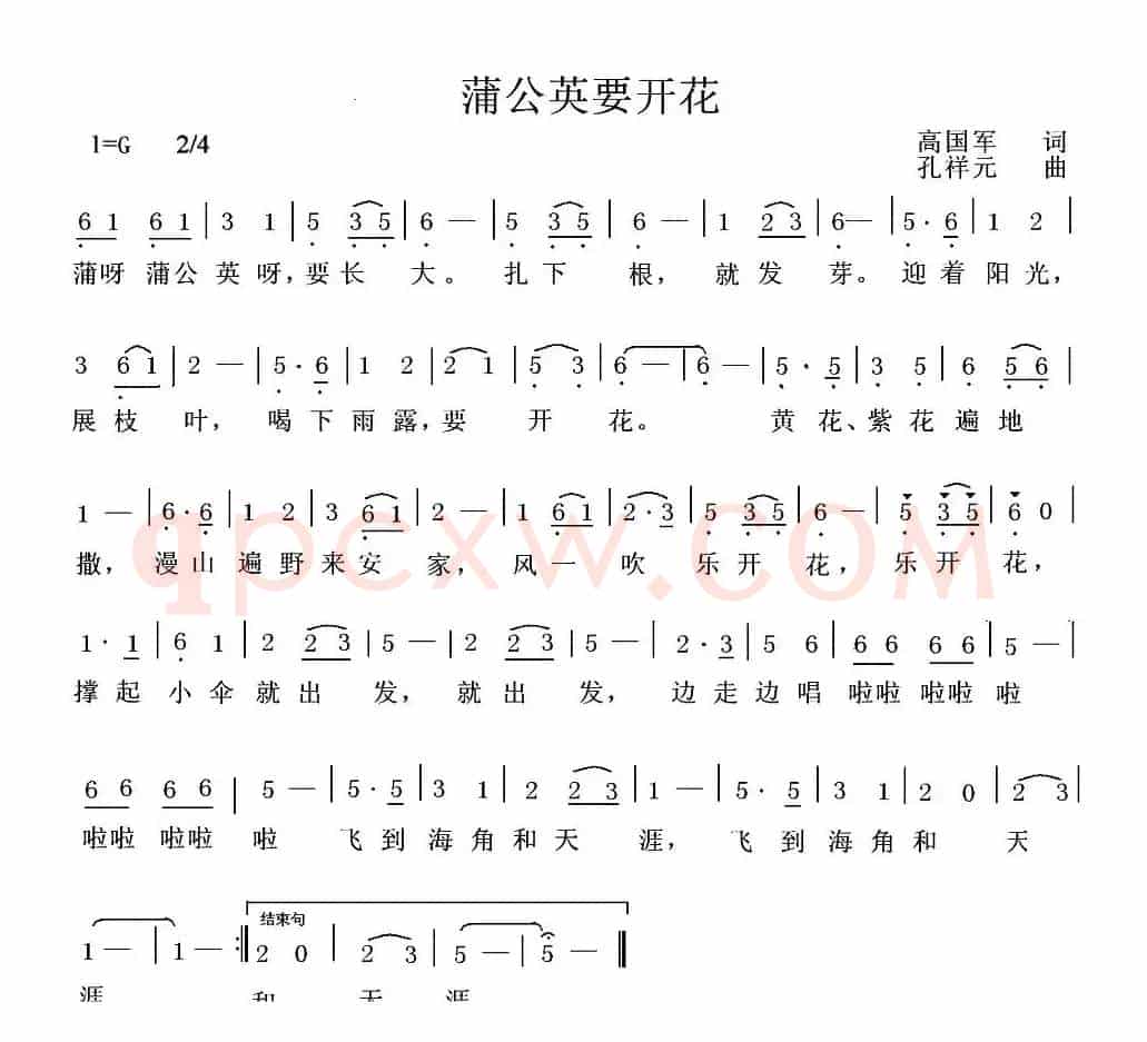 蒲公英要开花