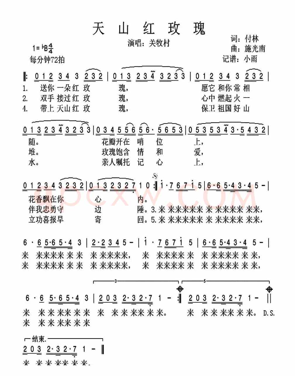 天山红玫瑰