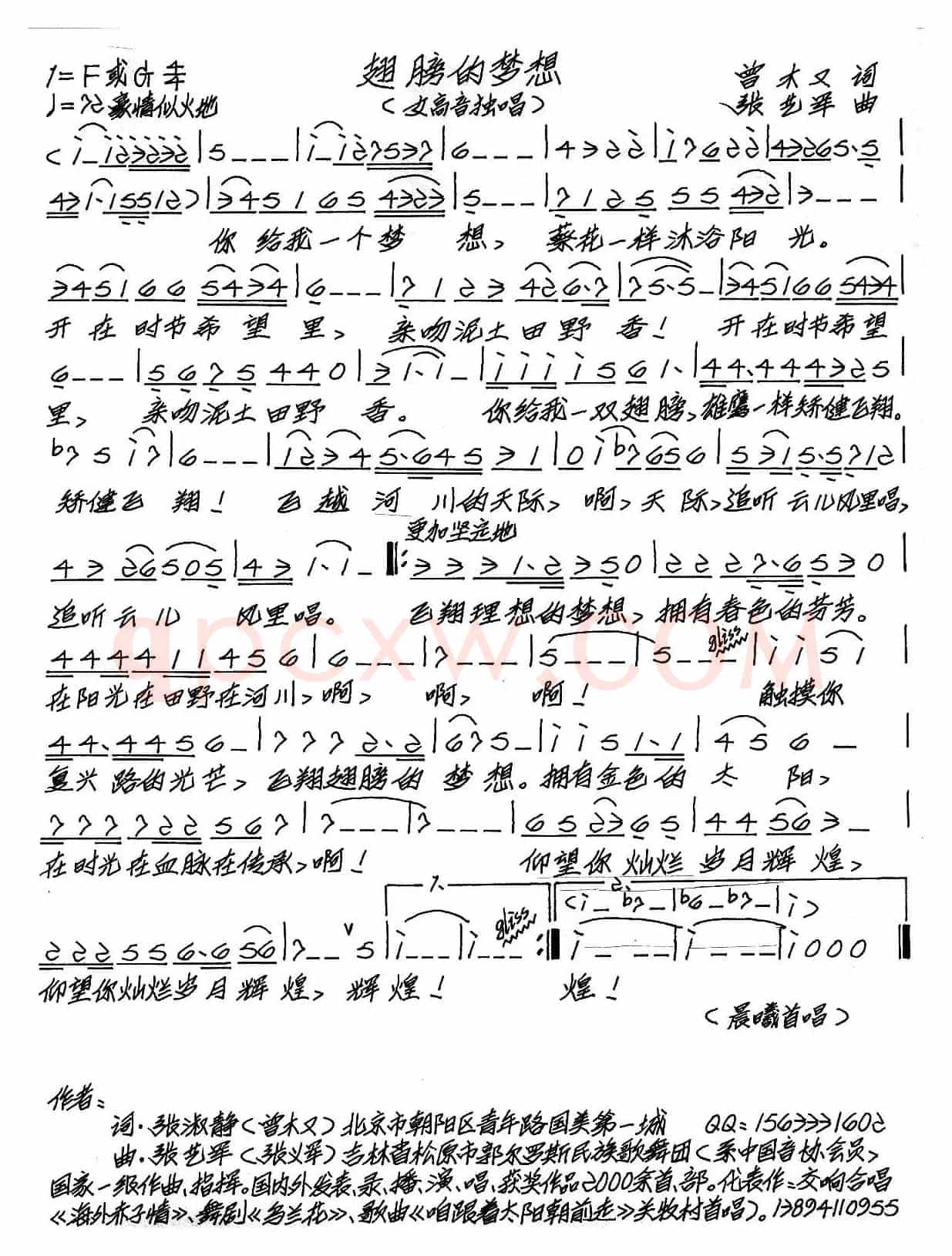 翅膀的梦想