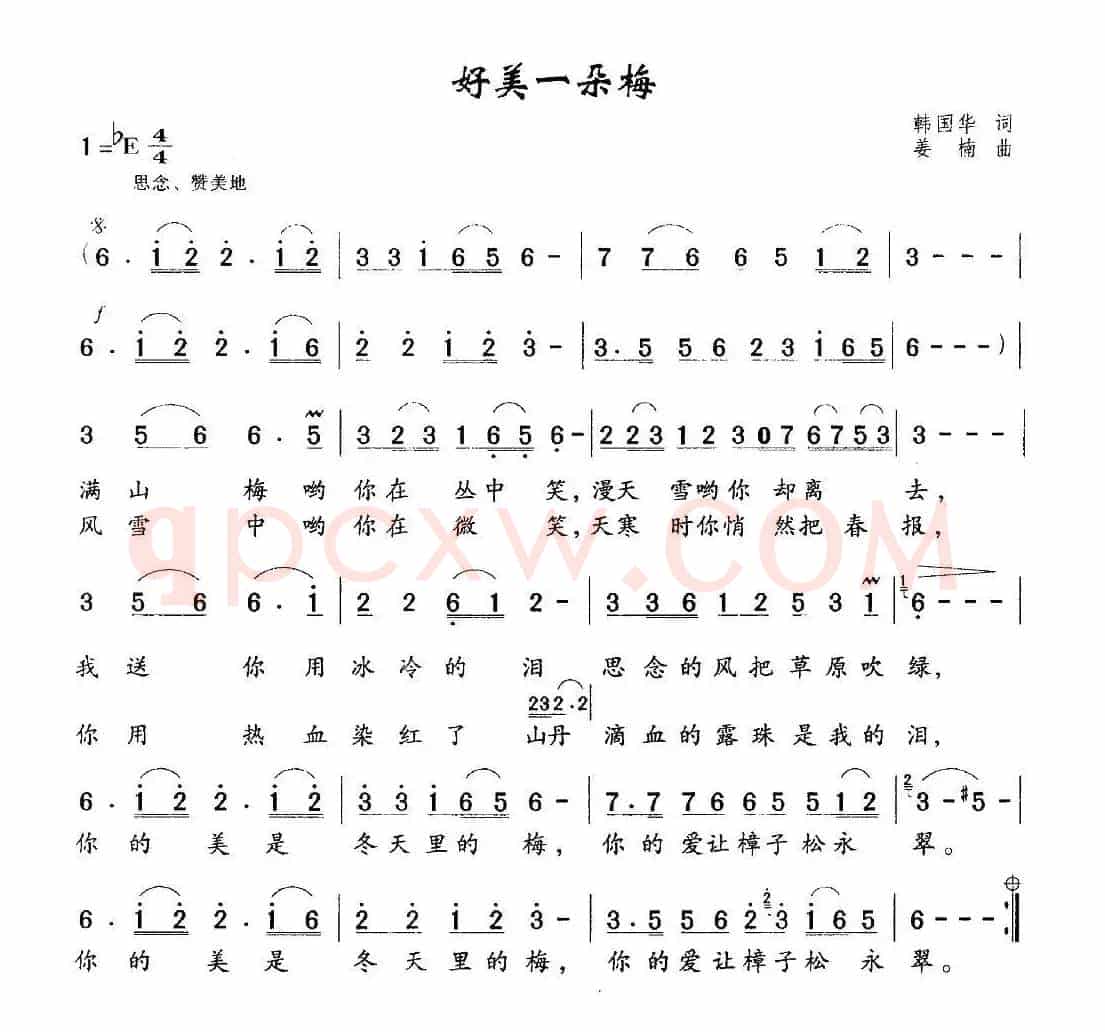 好美一朵梅