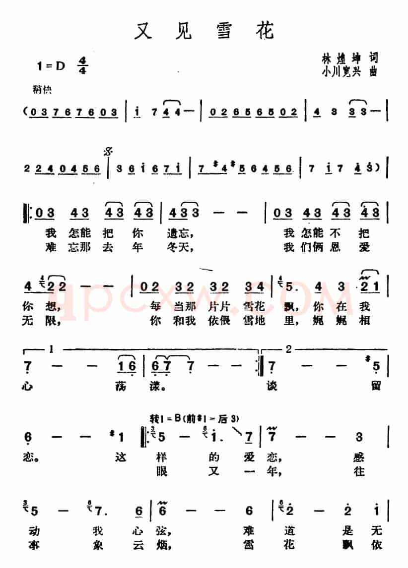 邓丽君演唱金曲:又见雪花