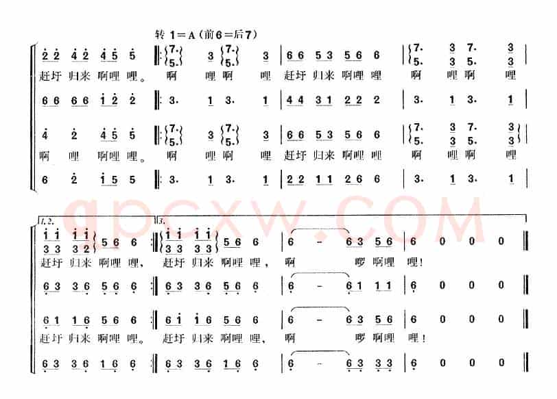 赶圩归来啊哩哩