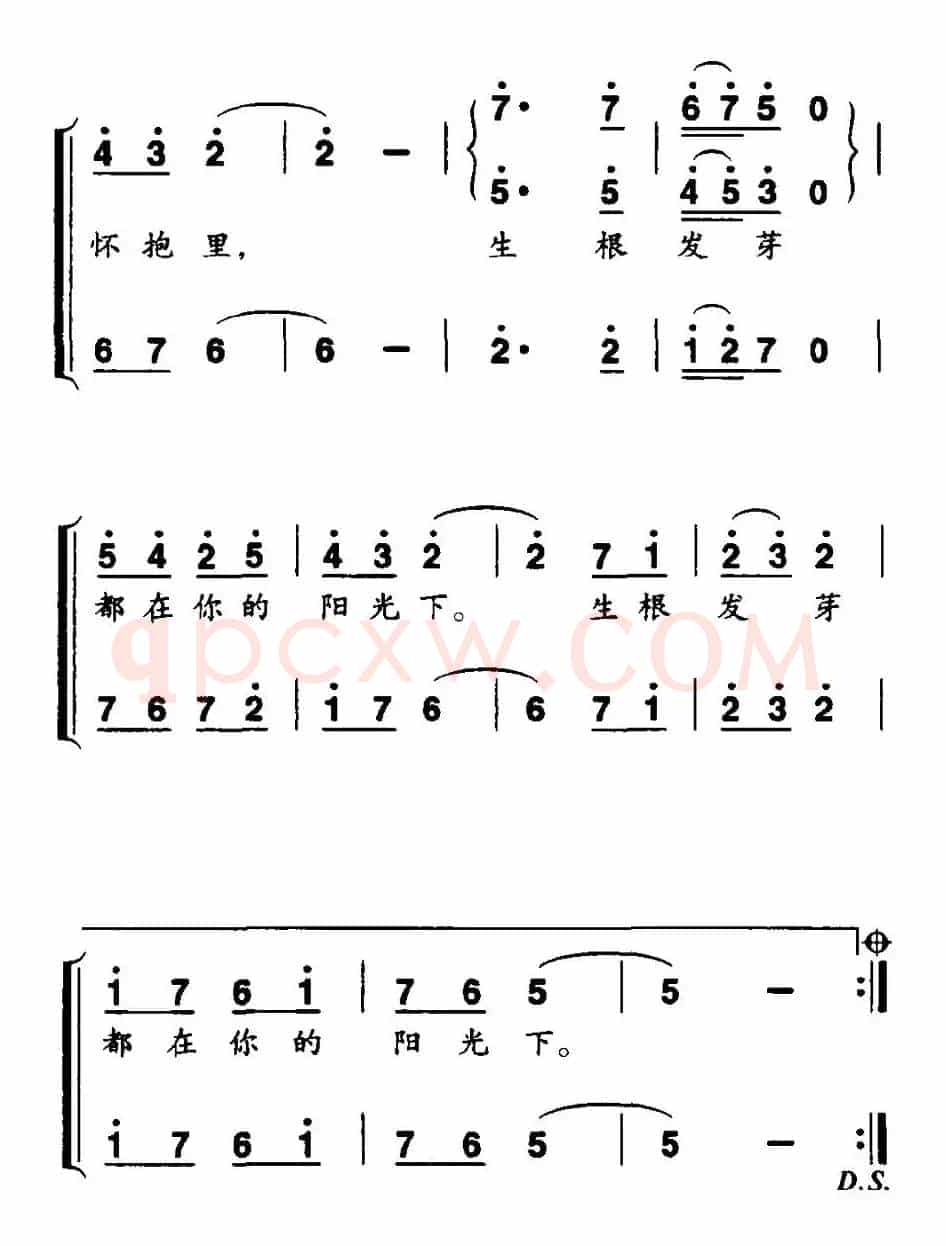 我的祖国我的家（孙新凯词 邢炜曲、独唱+伴唱）