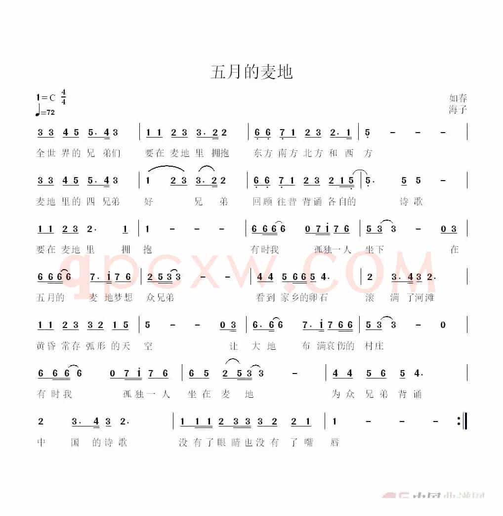 五月的麦地