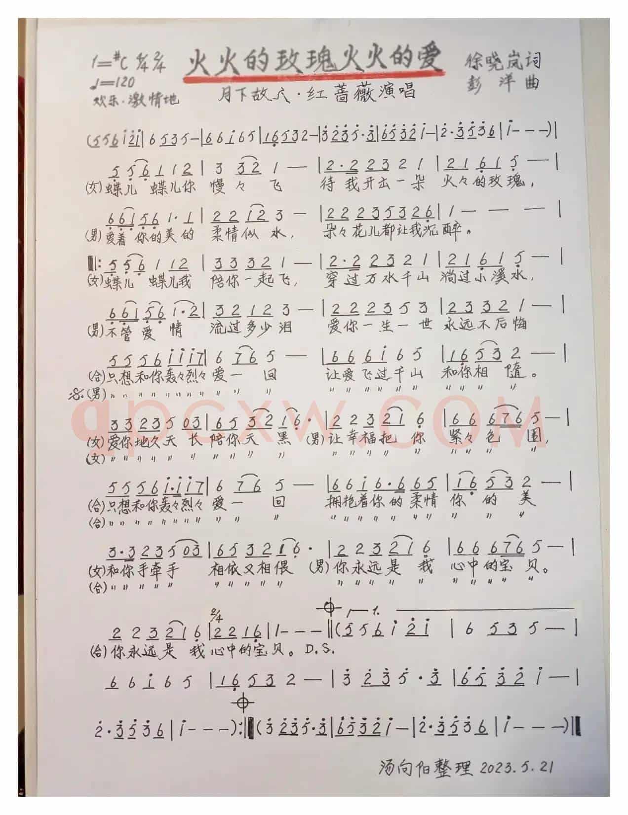 火火的玫瑰火火的爱