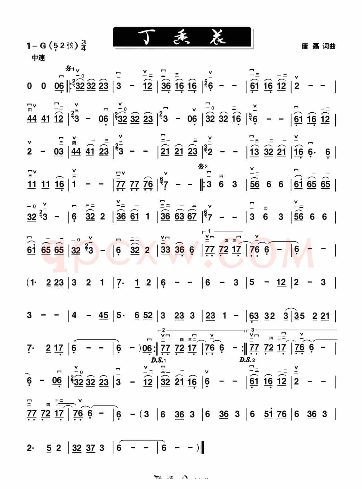 丁香花
