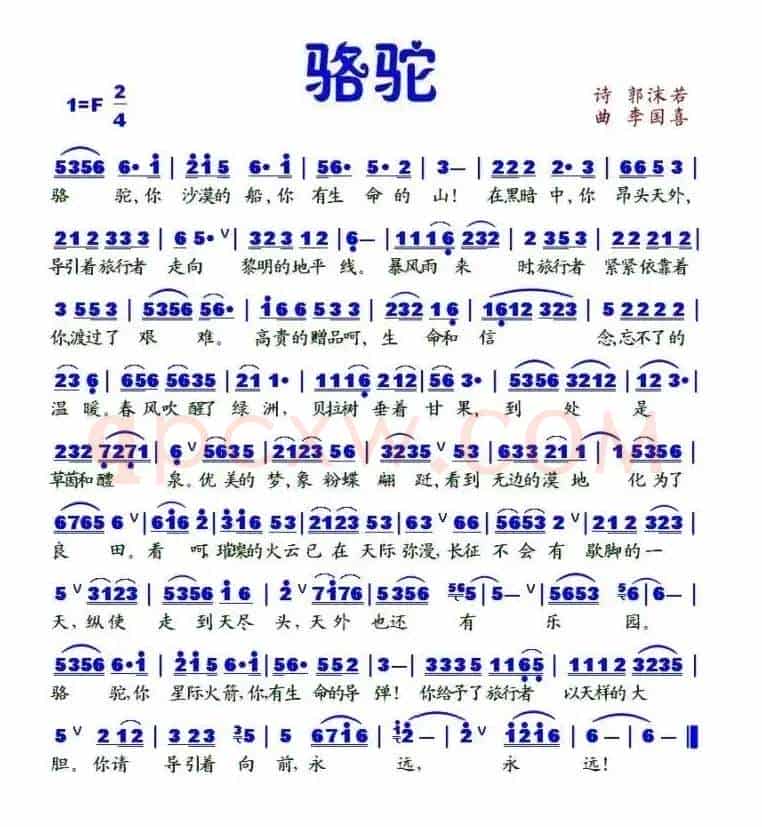 骆驼