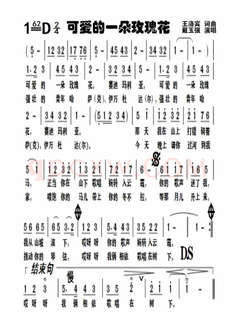 可爱的一朵玫瑰花
