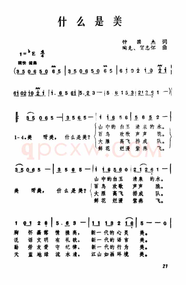 什么是美