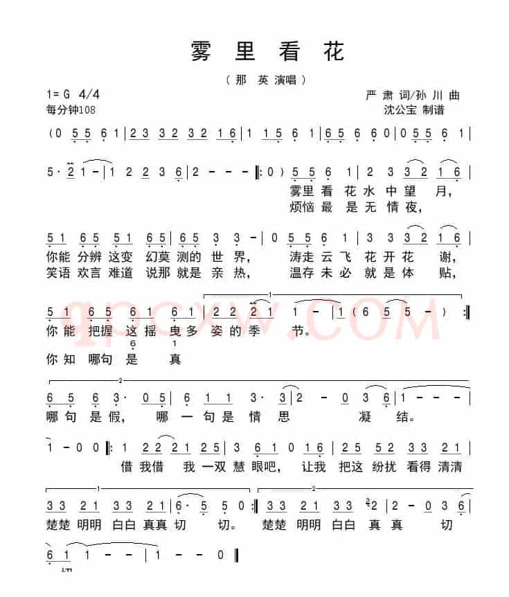 雾里看花