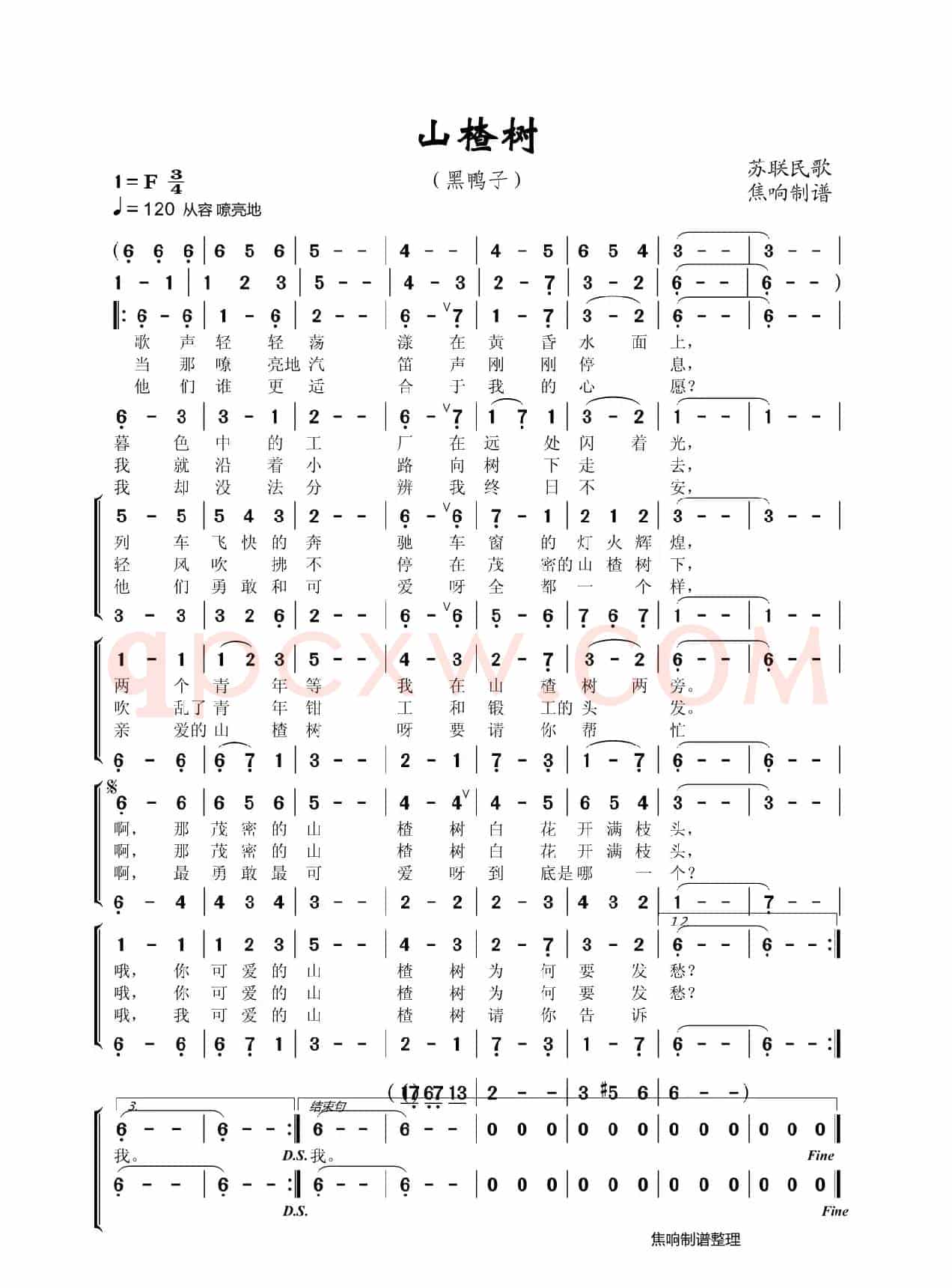 山楂树（黑鸭子）