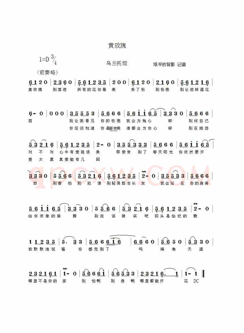 黄玫瑰