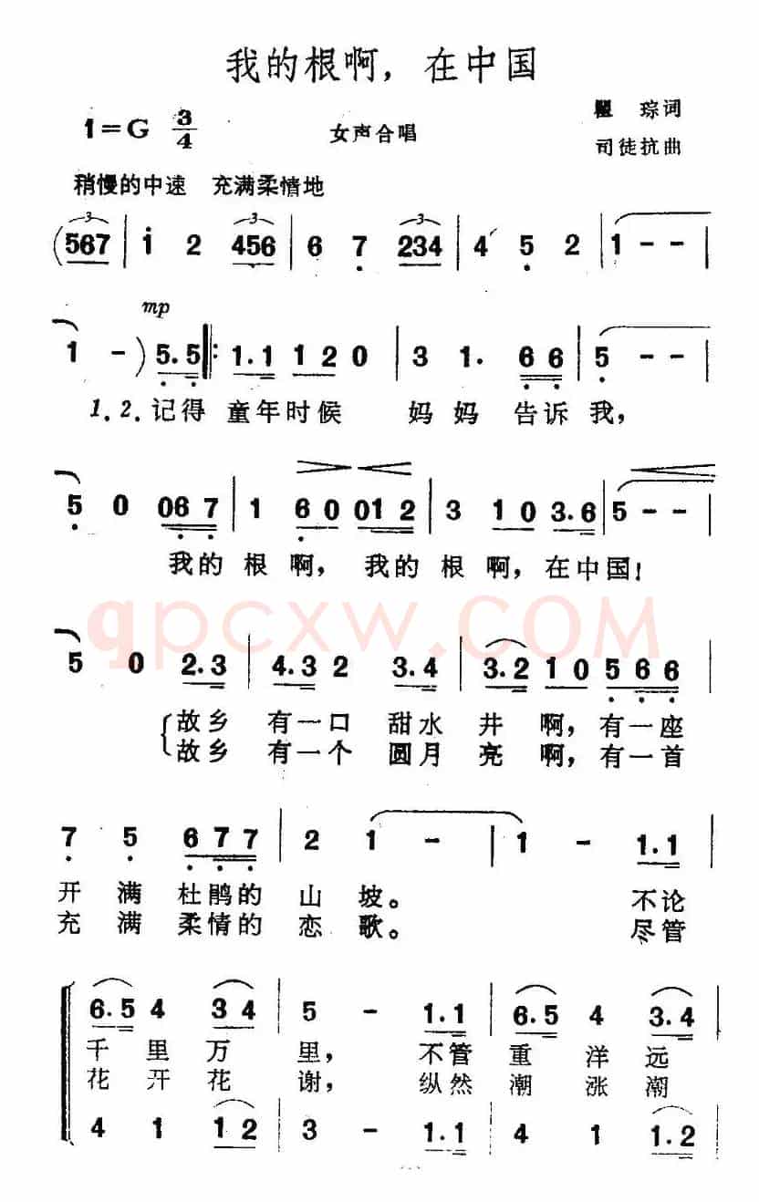 我的根啊，在中国