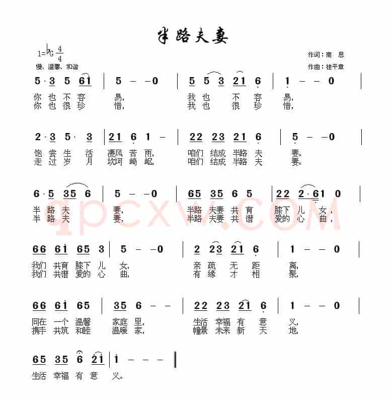 半路夫妻