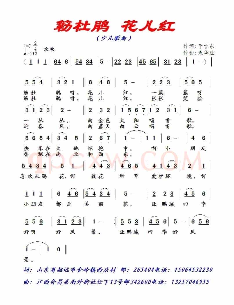 簕杜鹃，花儿红