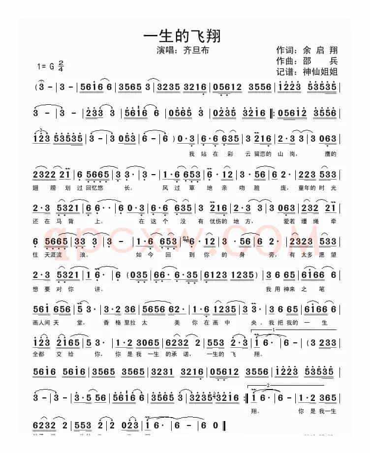 一生的飞翔