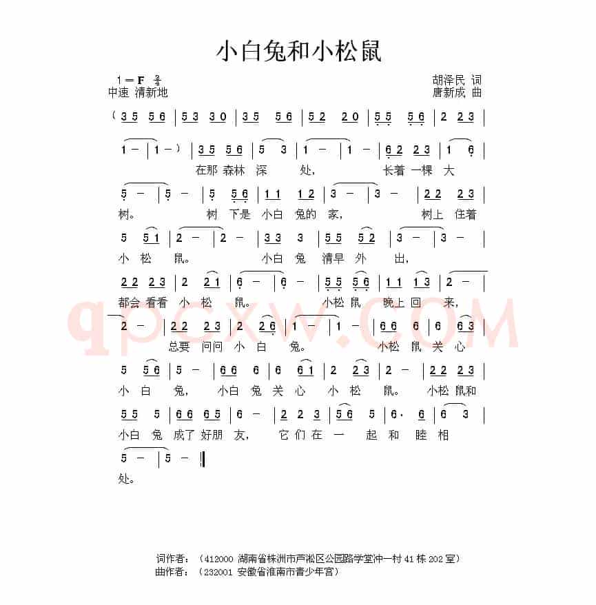 小白兔和小松鼠