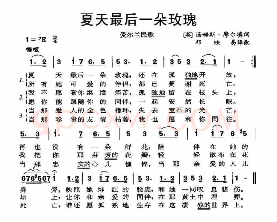 [爱尔兰] 夏天最后一朵玫瑰