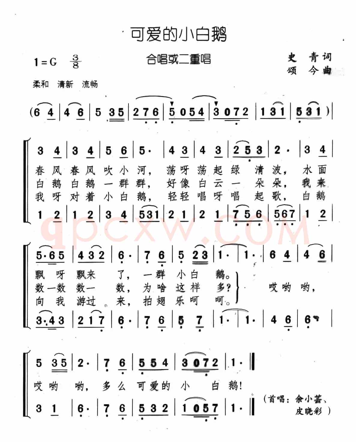 可爱的小白鹅
