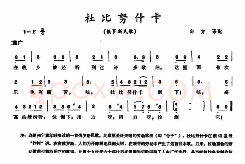 [俄罗斯]杜比努什卡 