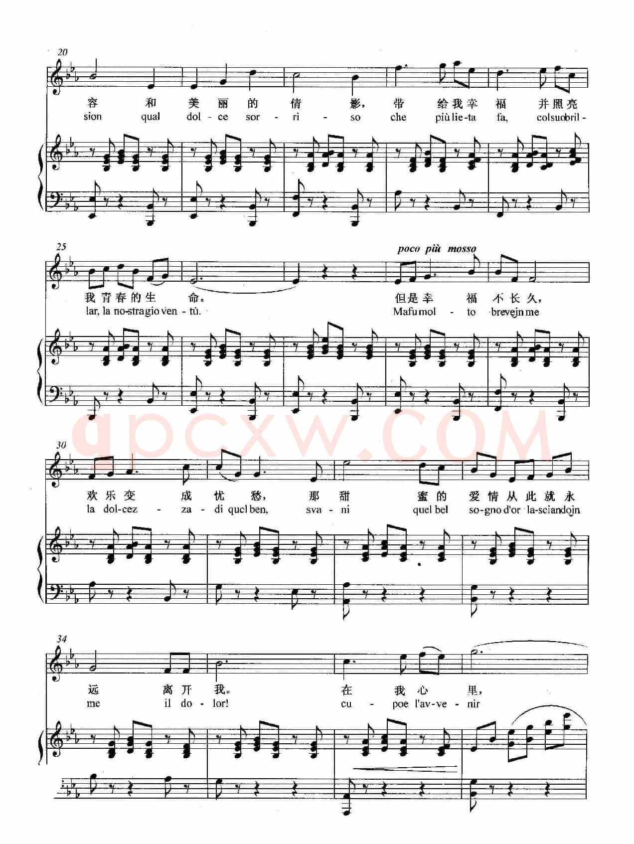 [意]悲叹的小夜曲（正谱）