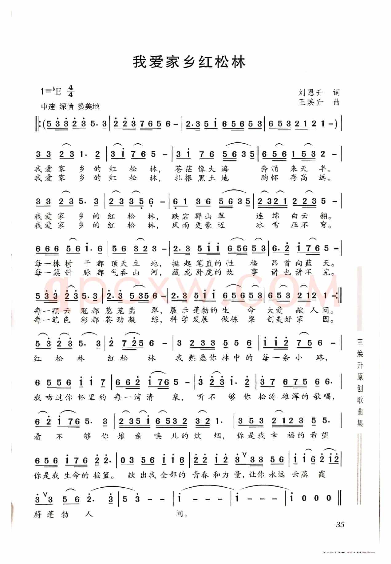 我爱家乡的红松林