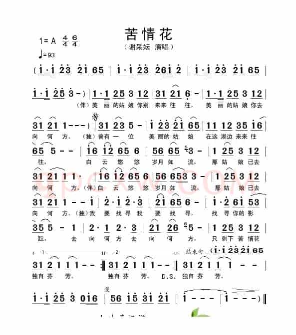 苦情花