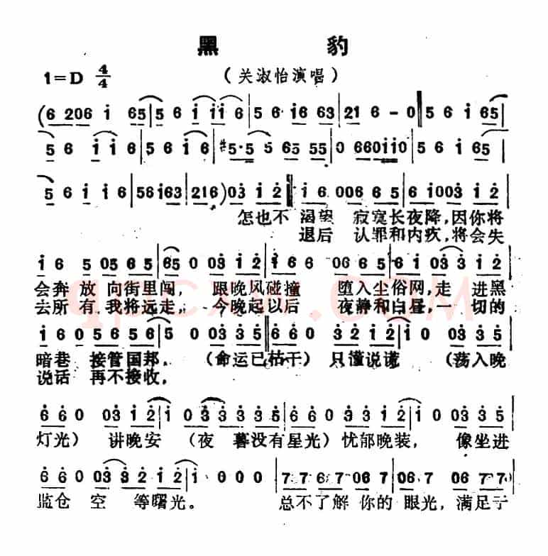 黑豹