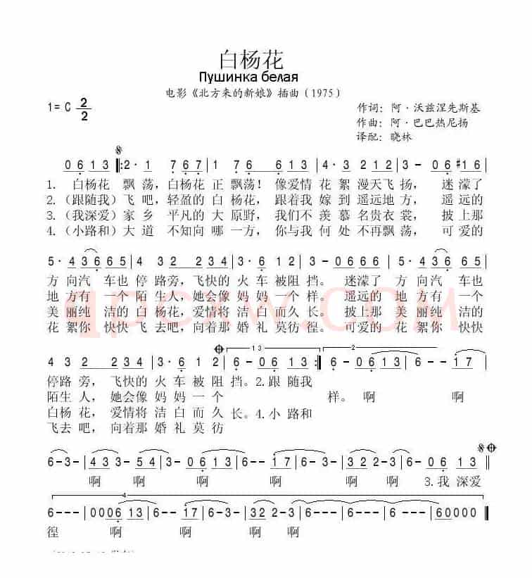 [俄]白杨花