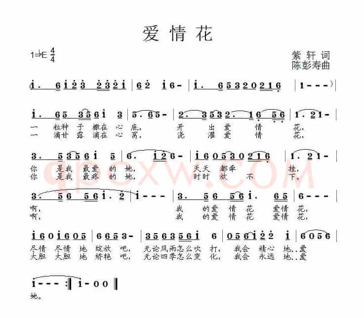 爱情花（紫轩词 陈彭寿曲）