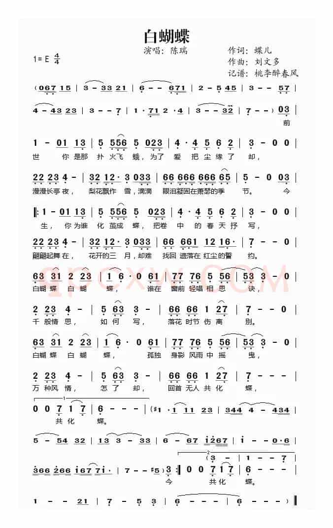 白蝴蝶（蝶儿词 刘文多曲）