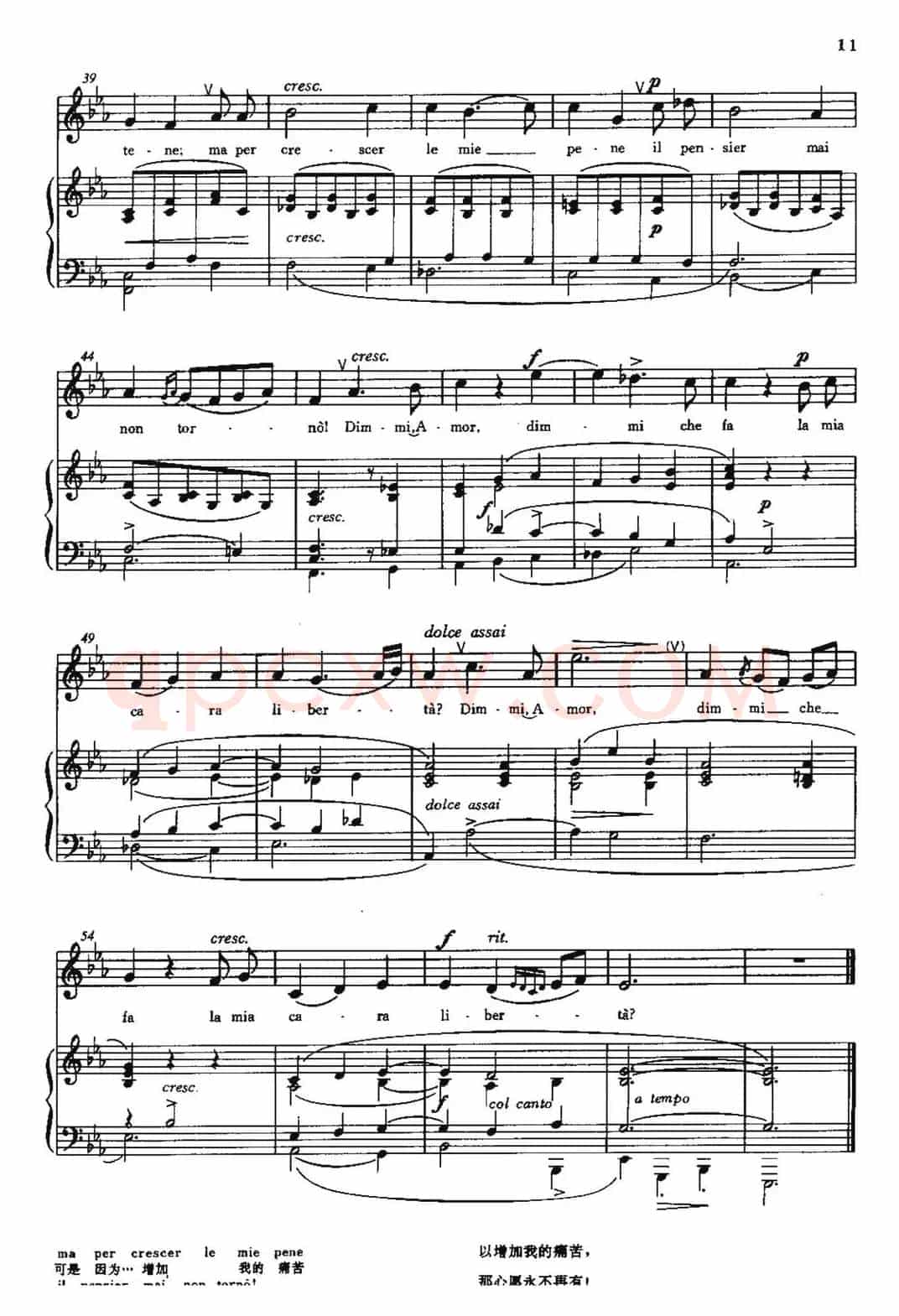 [意]Dimmi,Amor（告诉我，爱神）