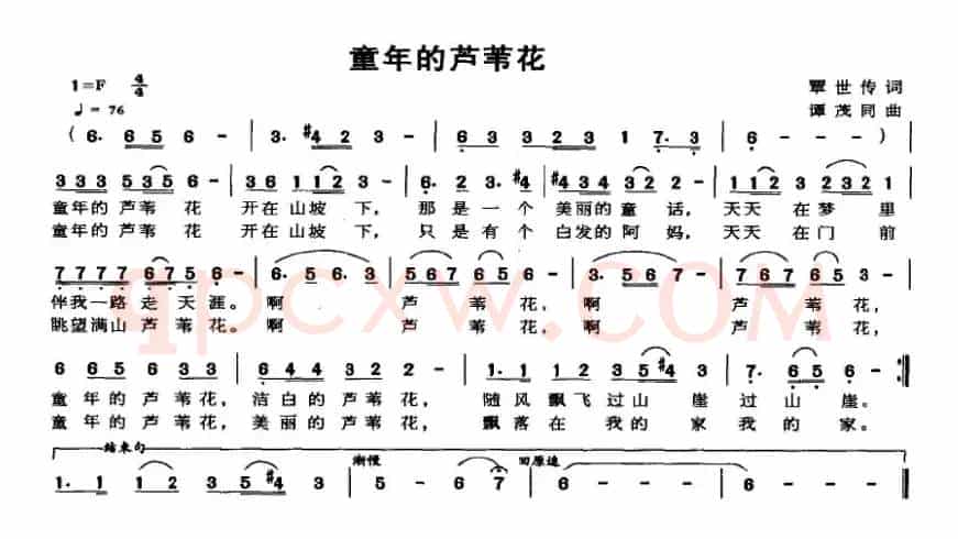 童年的芦苇花