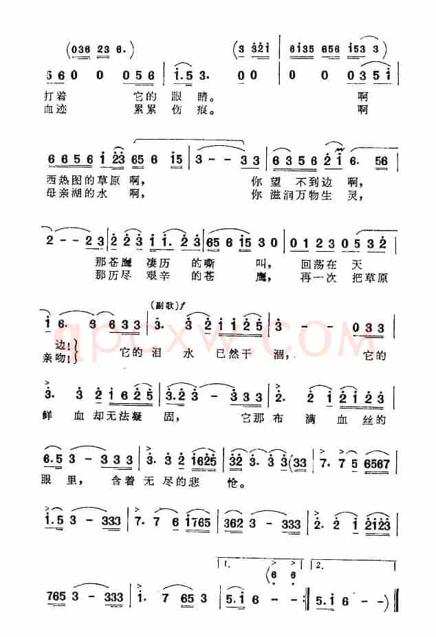 苍鹰之歌