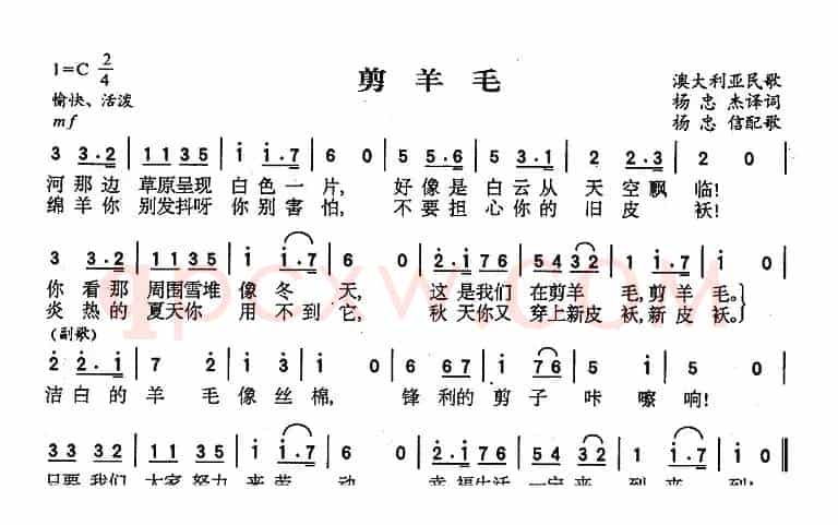[澳大利亚]剪羊毛