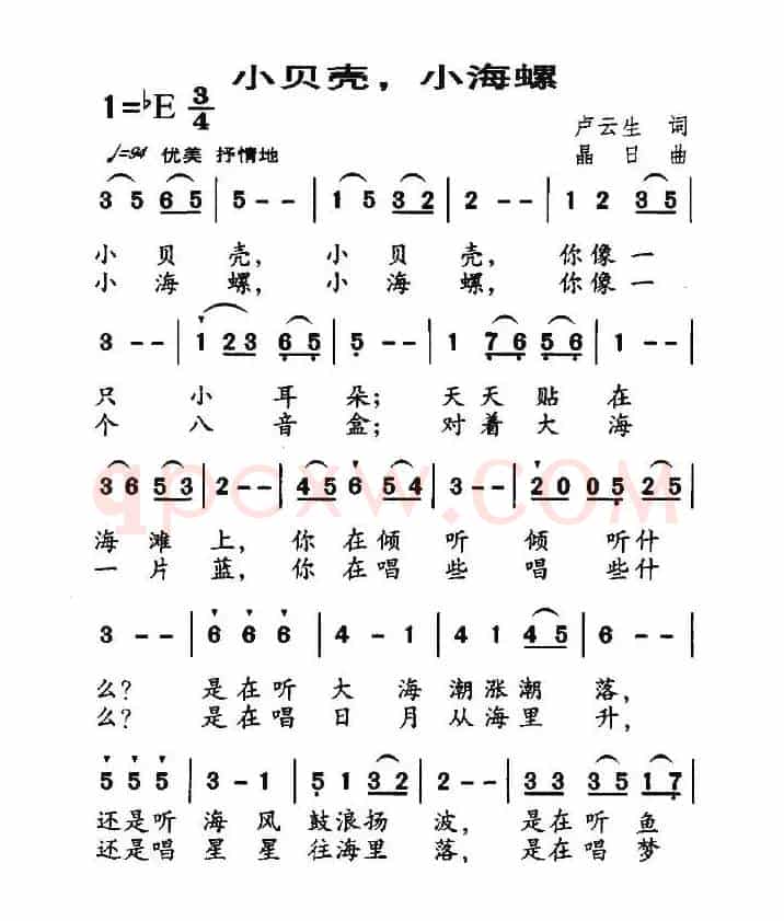 小贝壳，小海螺