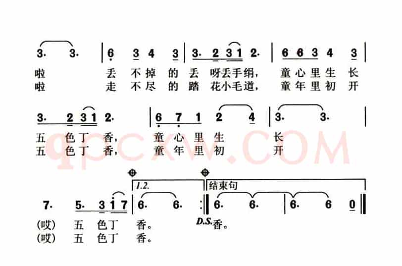 五色丁香
